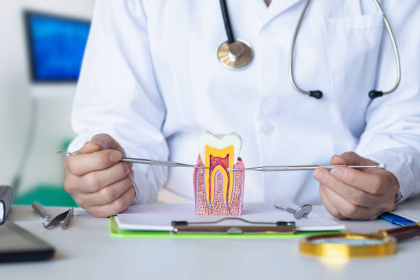 Best Emergency Dental Care for Broken or Chipped Teeth in Maud, TX